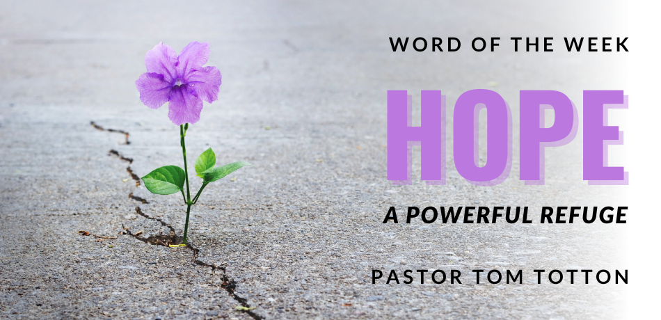 Hope: A Powerful Refuge!