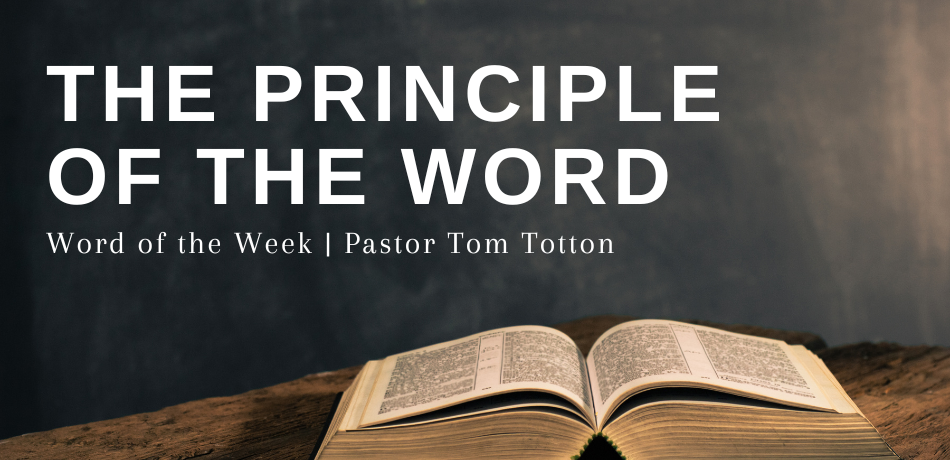 The Principle of The Word