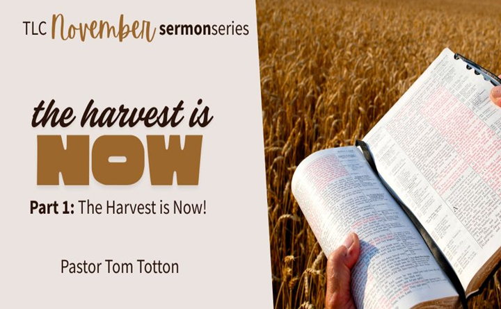 Part 1: The Harvest is Now! (Audio)