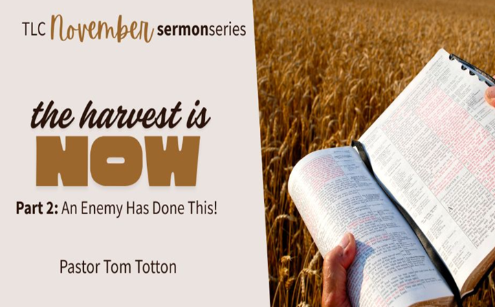 Part 2: An Enemy Has Done This! (Video)