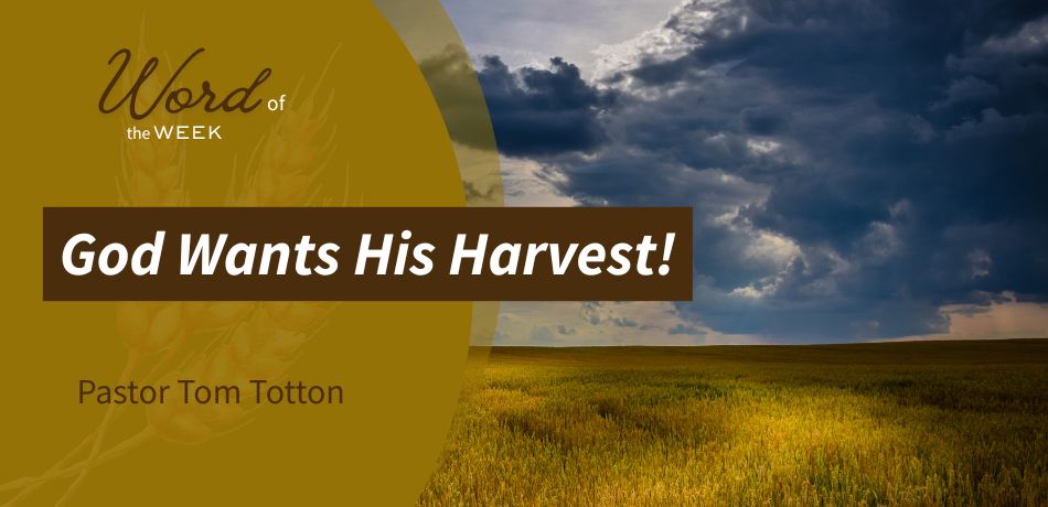 God Wants His Harvest!